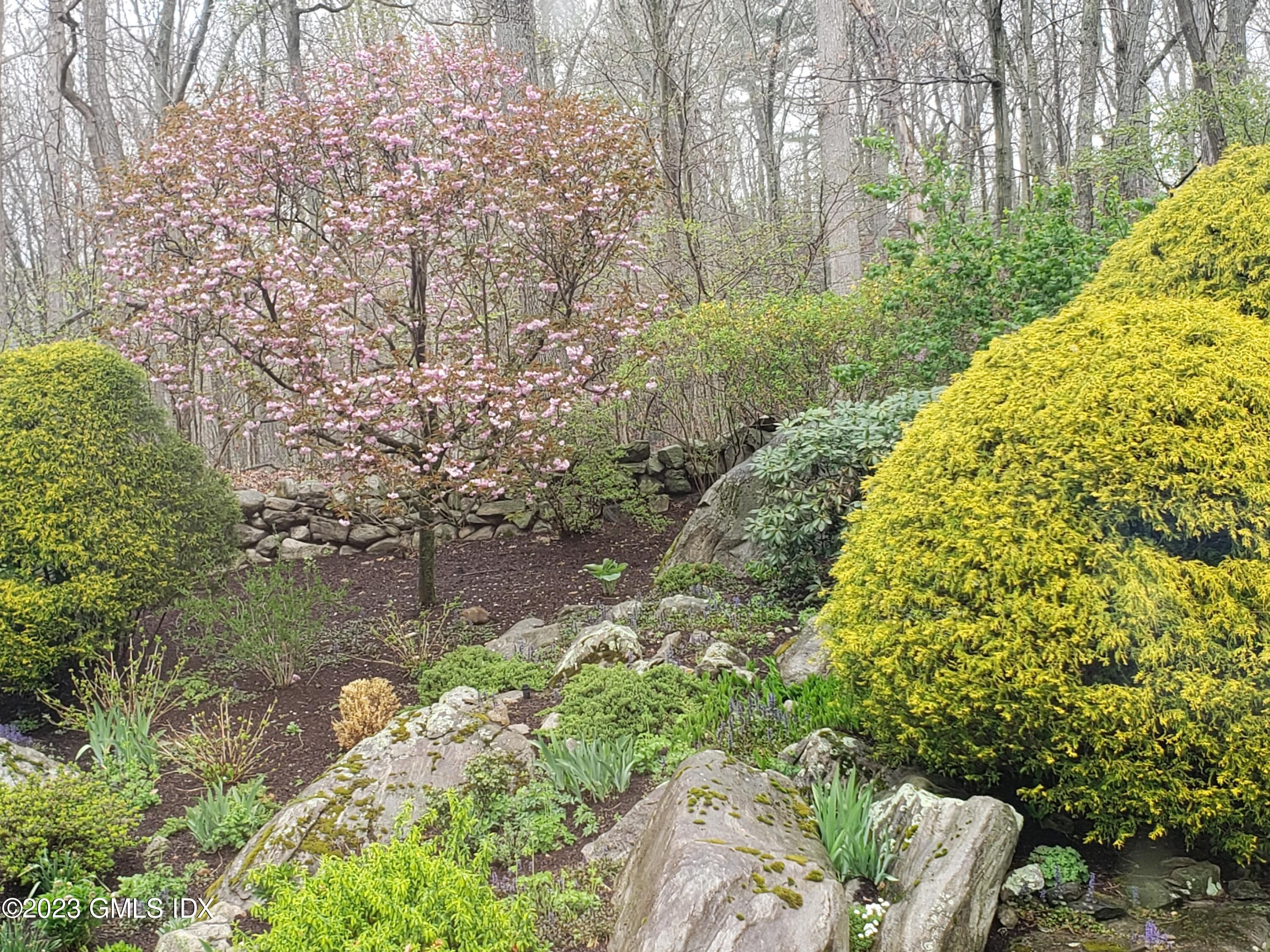 445 Cognewaugh Road Cos Cob, CT 06807 - Photo 54 of 61 a backyard of a house with lots of green space and garden