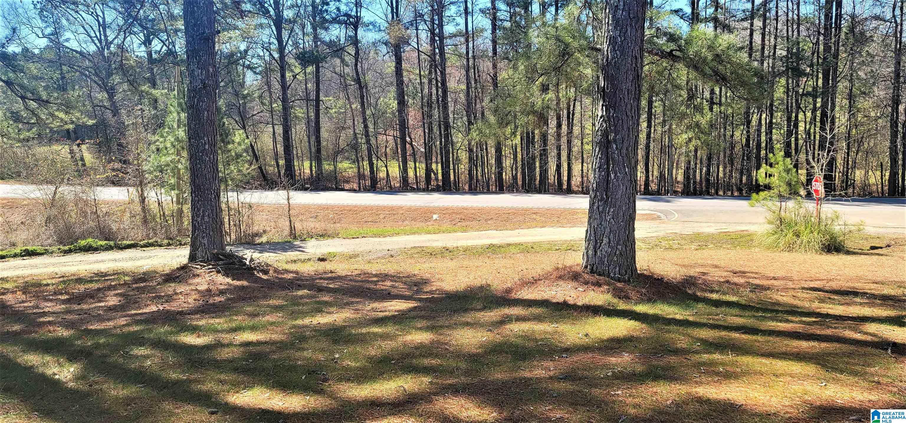 14511 Highway 46 Heflin, AL 36264 - Photo 9 of 36