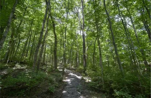 a view of outdoor space and green space