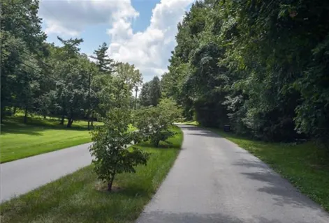 a view of street with with lots of green space and trees
