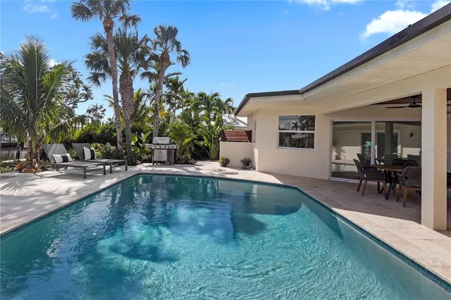 a view of a yard with plants