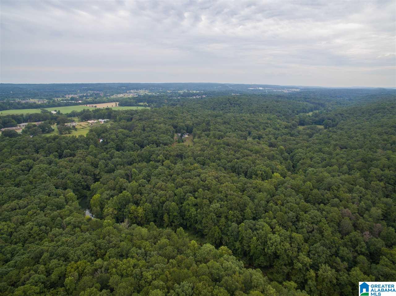 23227 East Ridge Drive McCalla, AL 35111 - Photo 41 of 49