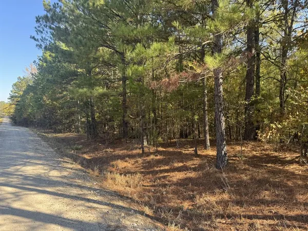 $20,000 | 0 Cr 2451 Clarksville Tx 75426, Clarksville, TX 75426