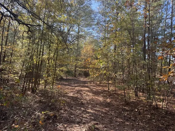 $20,000 | 0 Cr 2451 Clarksville Tx 75426, Clarksville, TX 75426