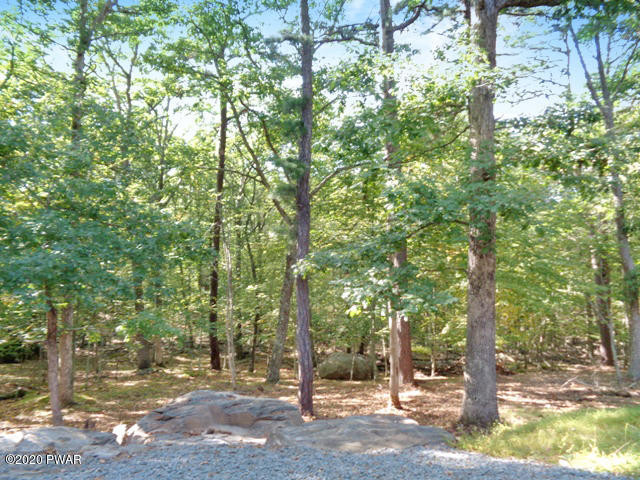 172 Pebble Rock Road Lackawaxen, PA 18435 - Photo 11 of 49 Back Area Bordering Preserve