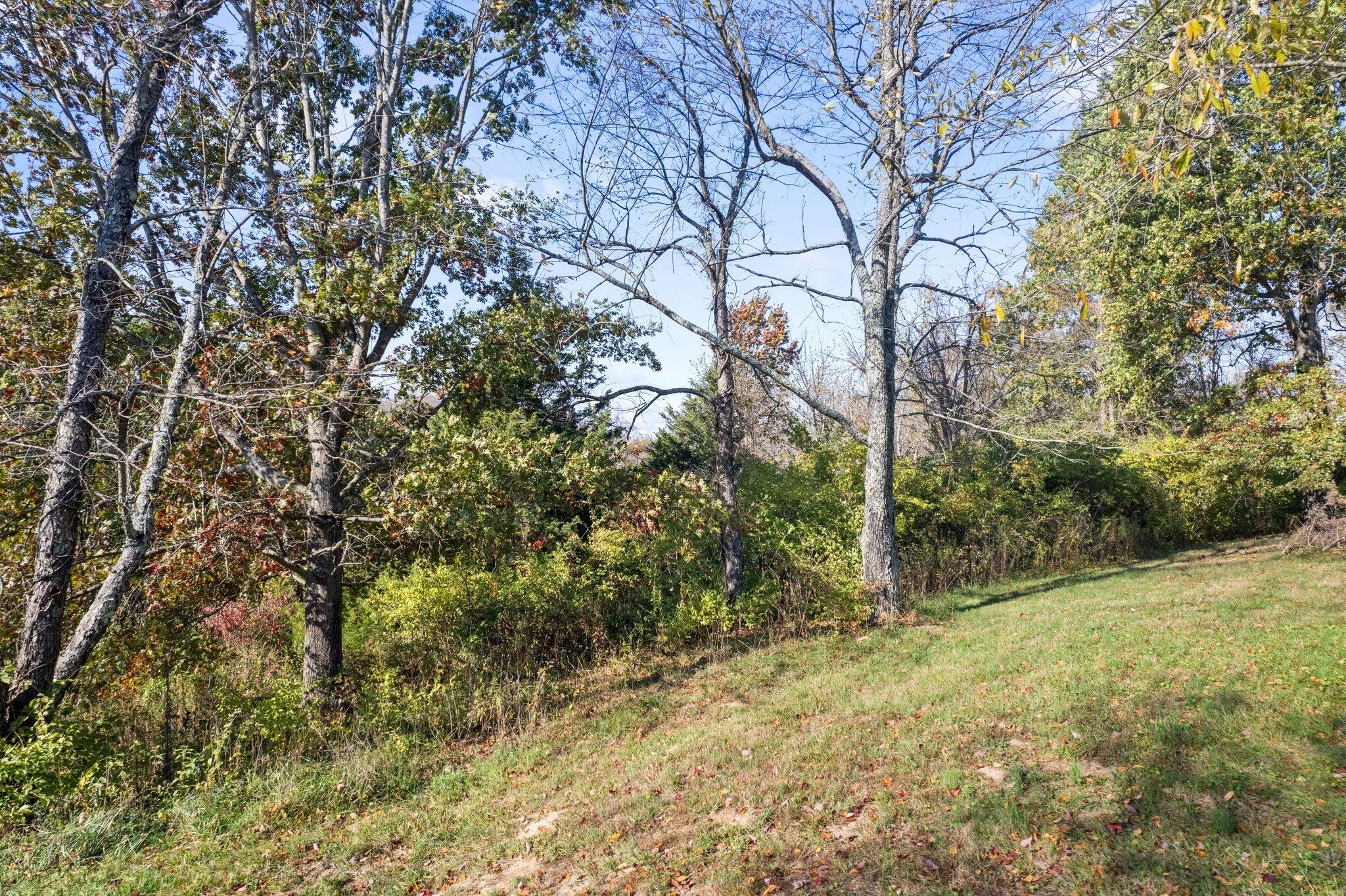 90 Joyce Way Augusta, KY 41002 - Photo 23 of 35 Gallery Image 23