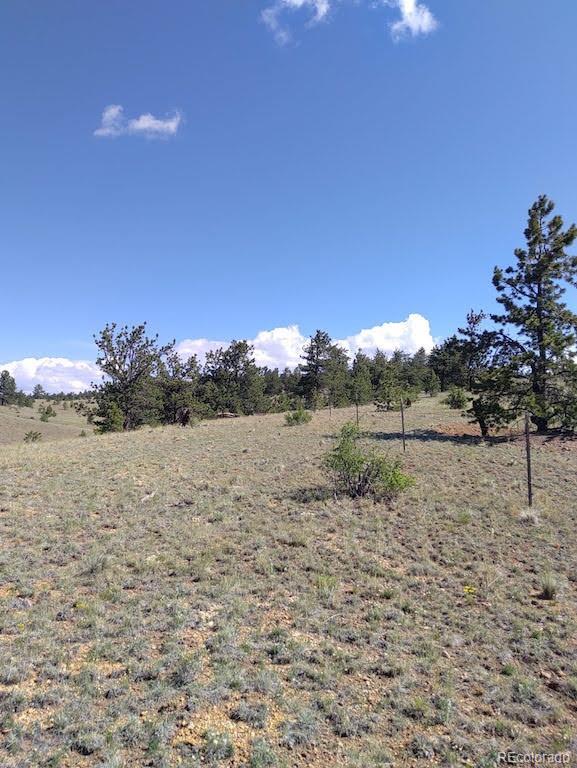0 Running Bear Road Hartsel, CO 80449 - Photo 1 of 13