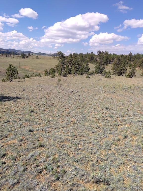 0 Running Bear Road Hartsel, CO 80449 - Photo 11 of 13