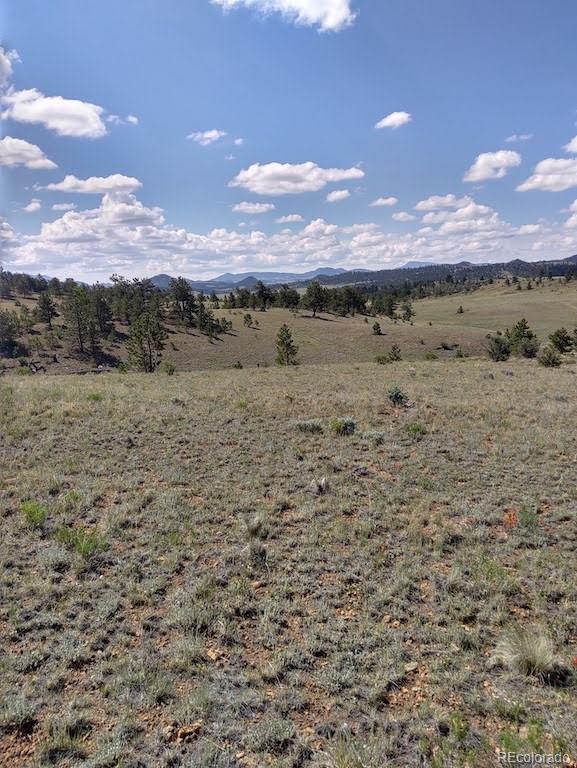 0 Running Bear Road Hartsel, CO 80449 - Photo 12 of 13
