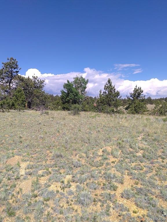 0 Running Bear Road Hartsel, CO 80449 - Photo 2 of 13