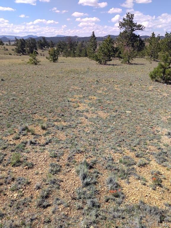 0 Running Bear Road Hartsel, CO 80449 - Photo 3 of 13