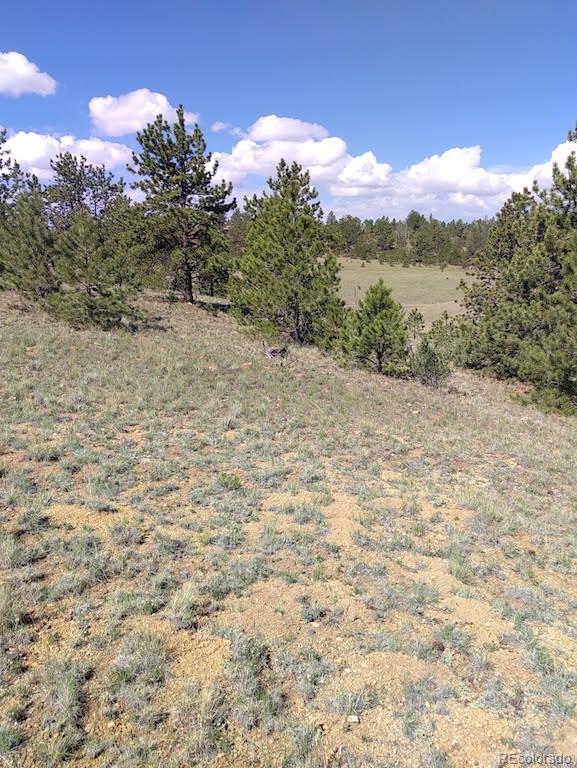 0 Running Bear Road Hartsel, CO 80449 - Photo 4 of 13