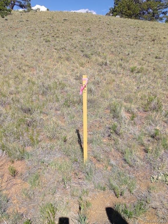 0 Running Bear Road Hartsel, CO 80449 - Photo 5 of 13