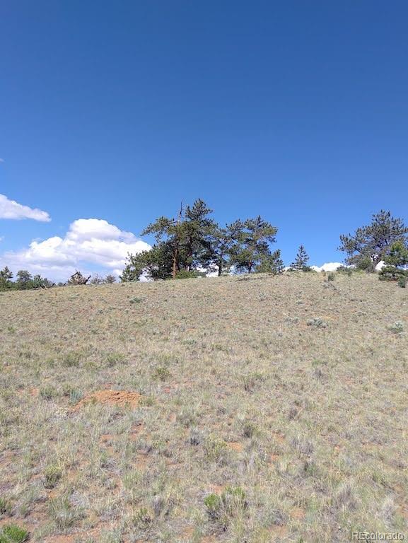 0 Running Bear Road Hartsel, CO 80449 - Photo 6 of 13