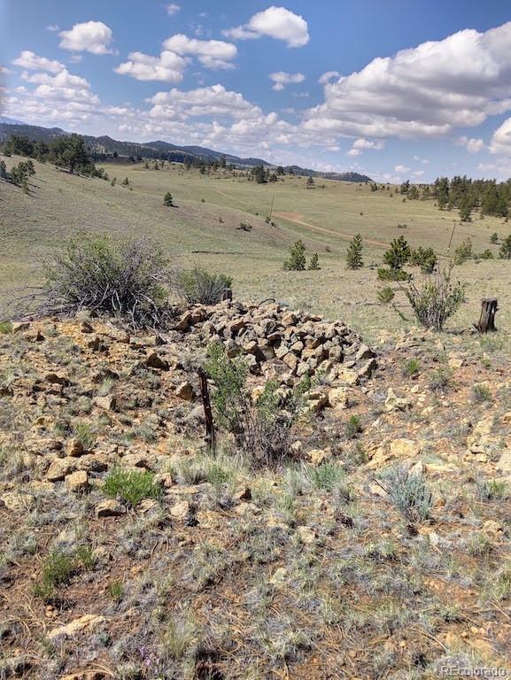 0 Running Bear Road Hartsel, CO 80449 - Photo 7 of 13