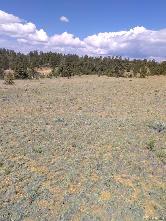 0 Running Bear Road Hartsel, CO 80449 - Photo 10 of 13
