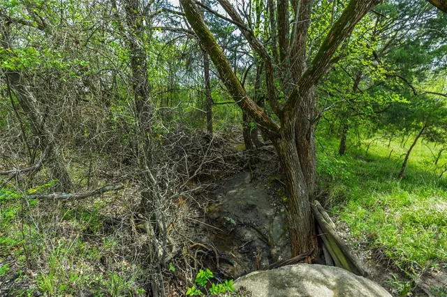 $99,500 | Lot 9 County Road 3401, Lone Oak, TX 75453