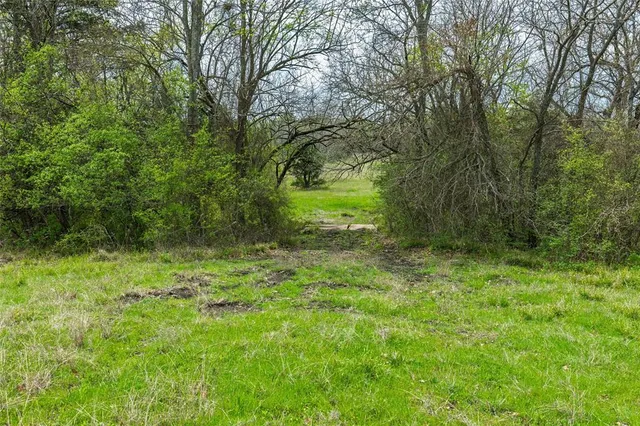 $99,500 | Lot 9 County Road 3401, Lone Oak, TX 75453