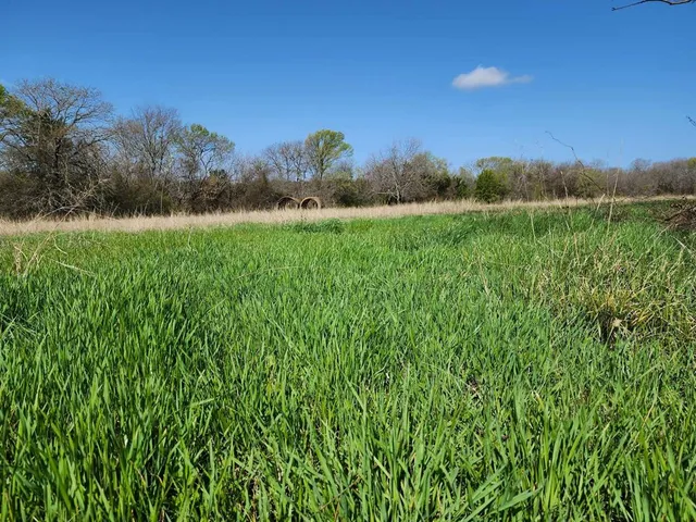 $99,500 | Lot 9 County Road 3401, Lone Oak, TX 75453