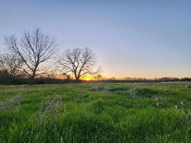 $99,500 | Lot 9 County Road 3401, Lone Oak, TX 75453