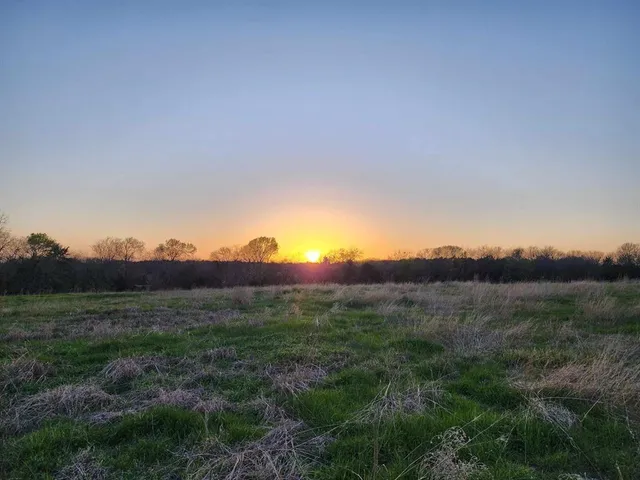 $99,500 | Lot 9 County Road 3401, Lone Oak, TX 75453