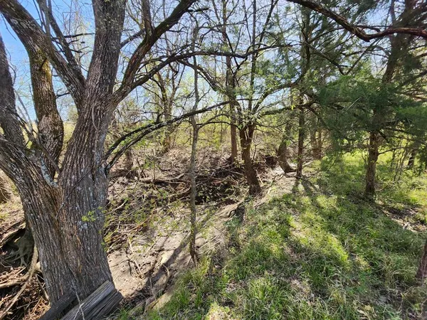 $99,500 | Lot 9 County Road 3401, Lone Oak, TX 75453