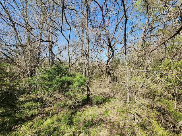 $99,500 | Lot 9 County Road 3401, Lone Oak, TX 75453