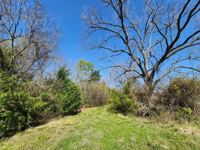 $99,500 | Lot 9 County Road 3401, Lone Oak, TX 75453