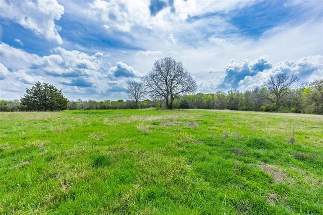 $99,500 | Lot 9 County Road 3401, Lone Oak, TX 75453