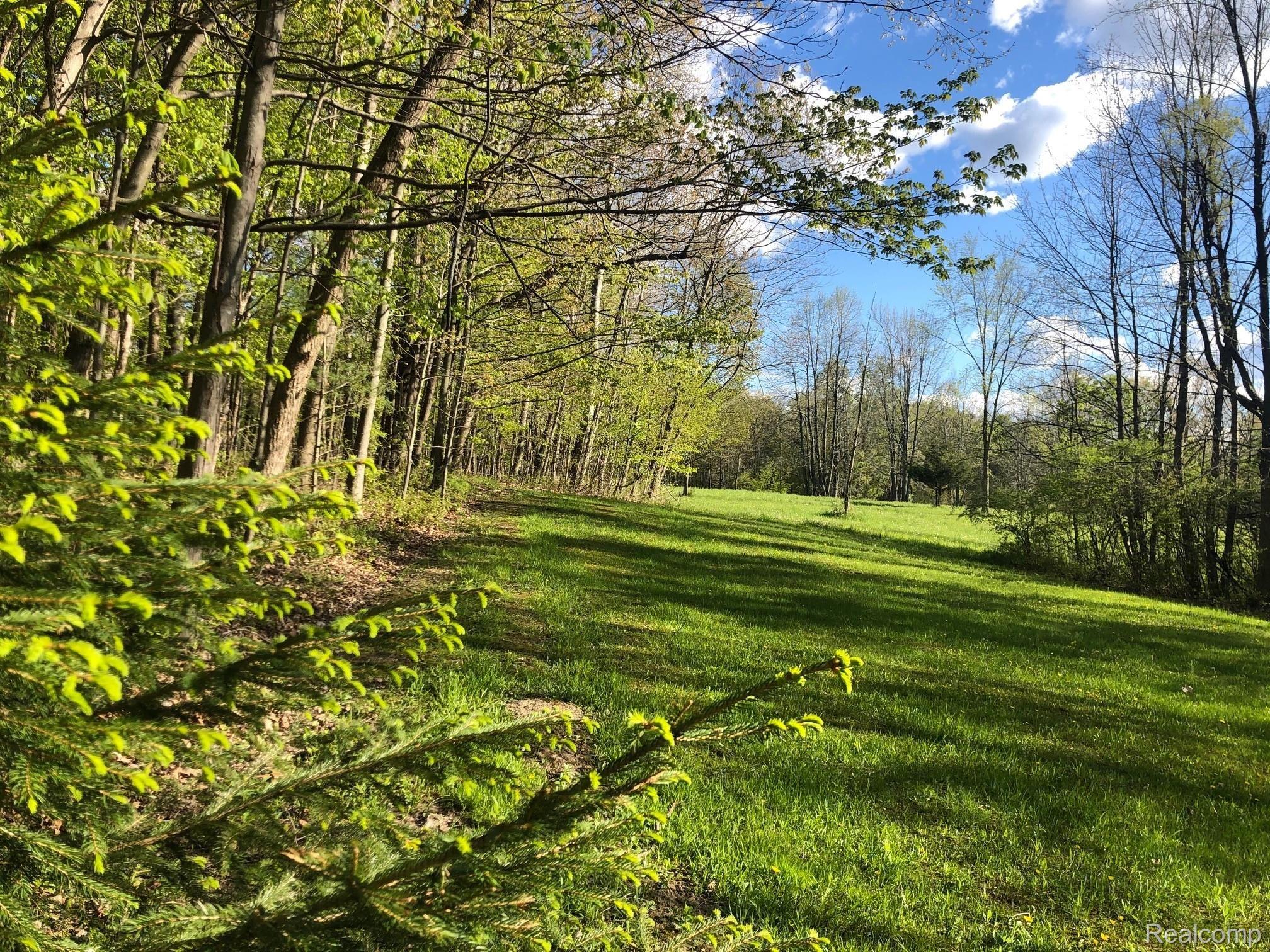 4373 Phillips Road Metamora, MI 48455 - Photo 23 of 73 IMG_1616.jpg