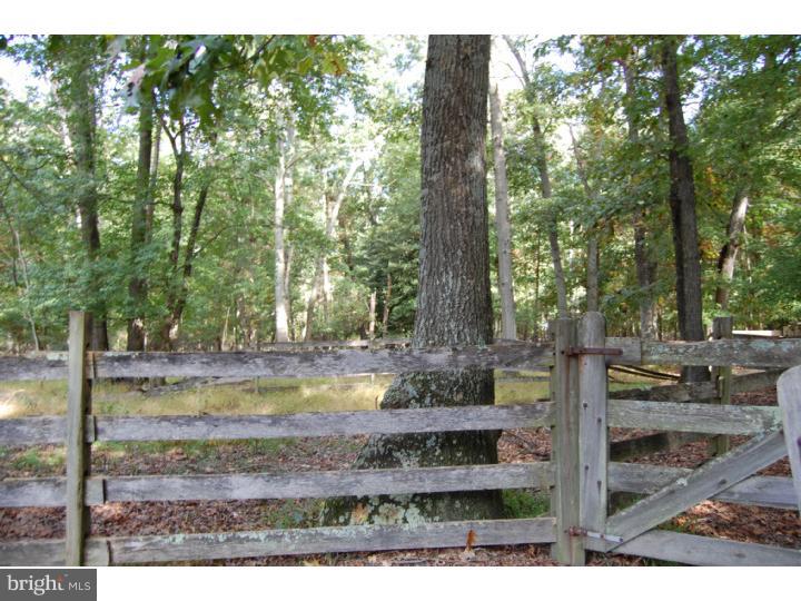 12 Gate Road Tabernacle, NJ 08088 - Photo 20 of 22
