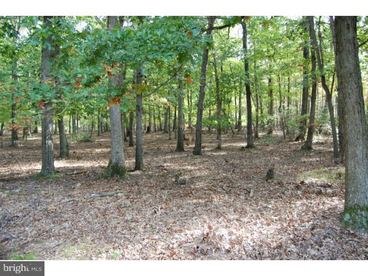 12 Gate Road Tabernacle, NJ 08088 - Photo 22 of 22
