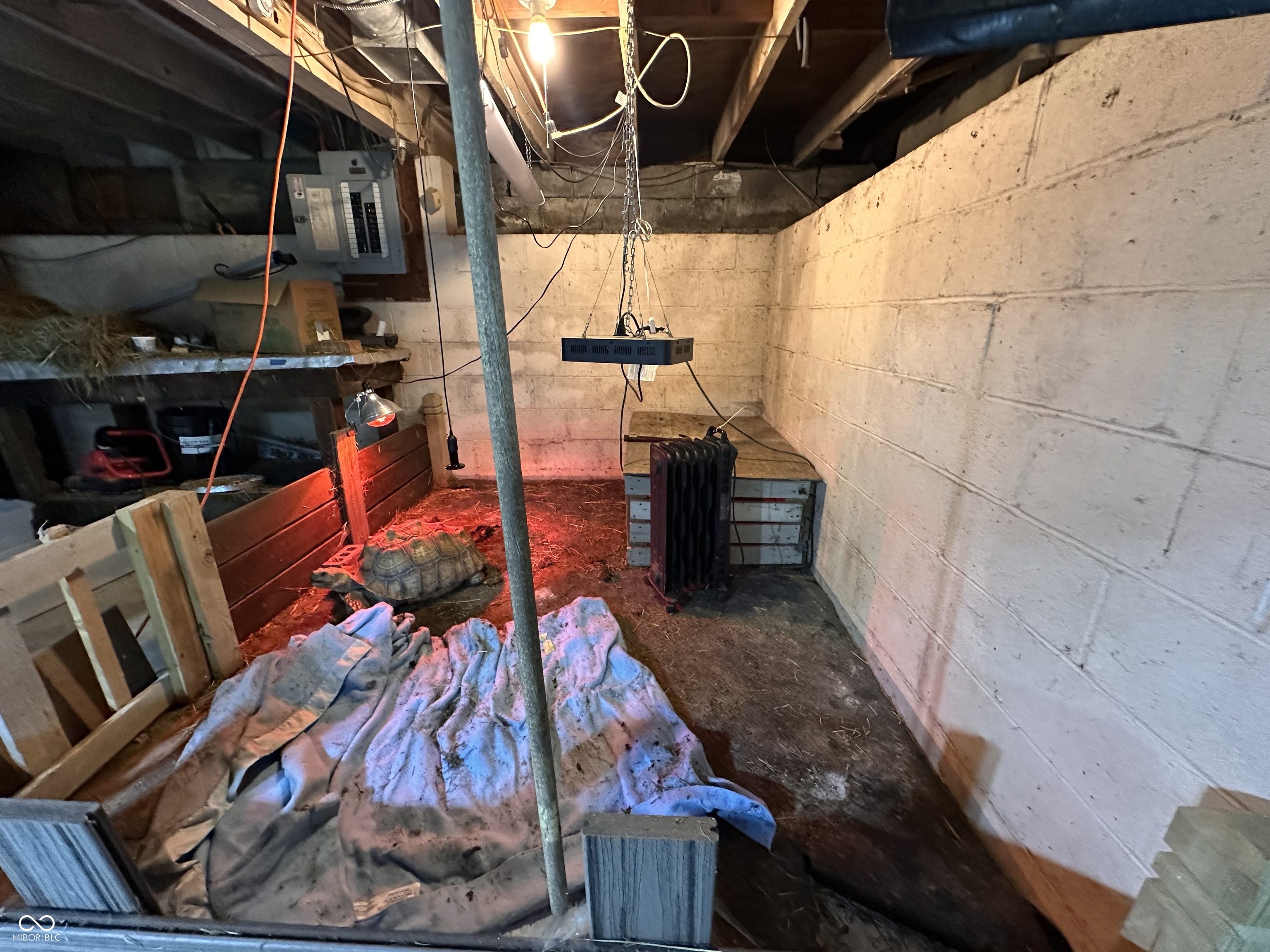 5959 Beechwood Avenue Indianapolis, IN 46219 - Photo 40 of 76