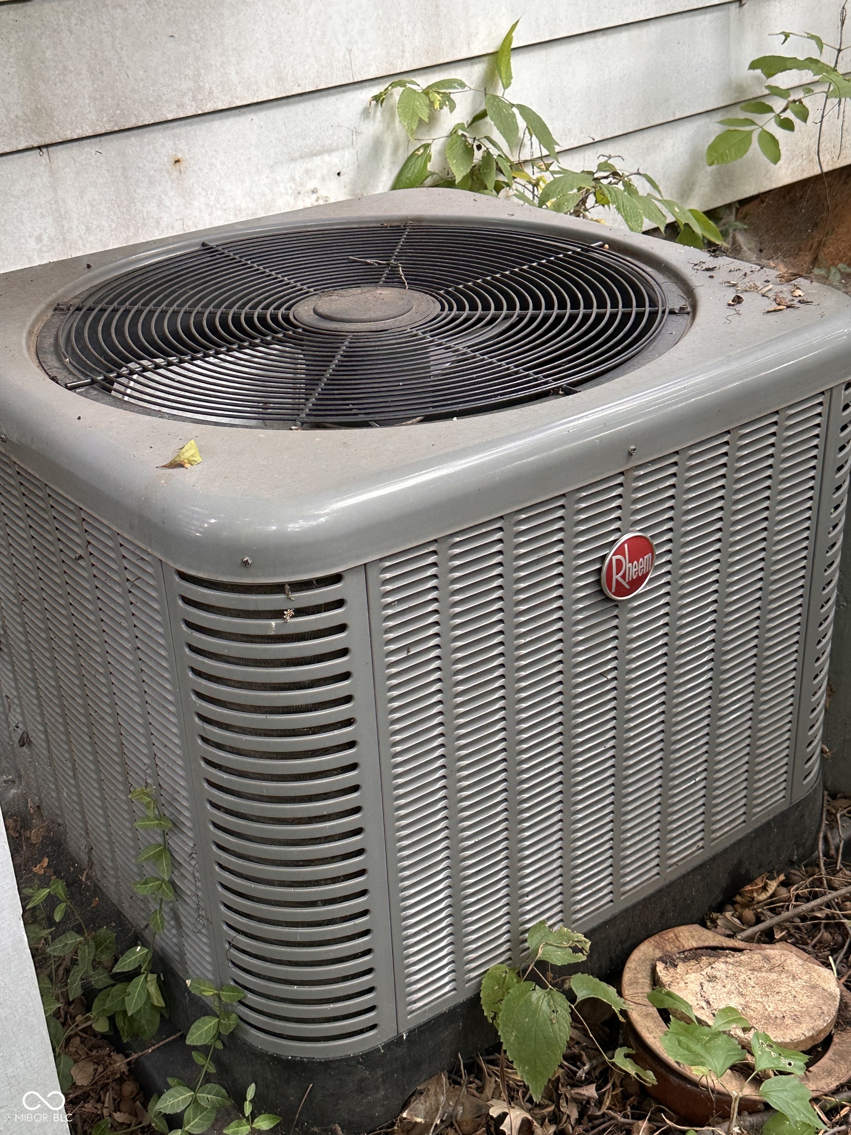 5959 Beechwood Avenue Indianapolis, IN 46219 - Photo 5 of 76