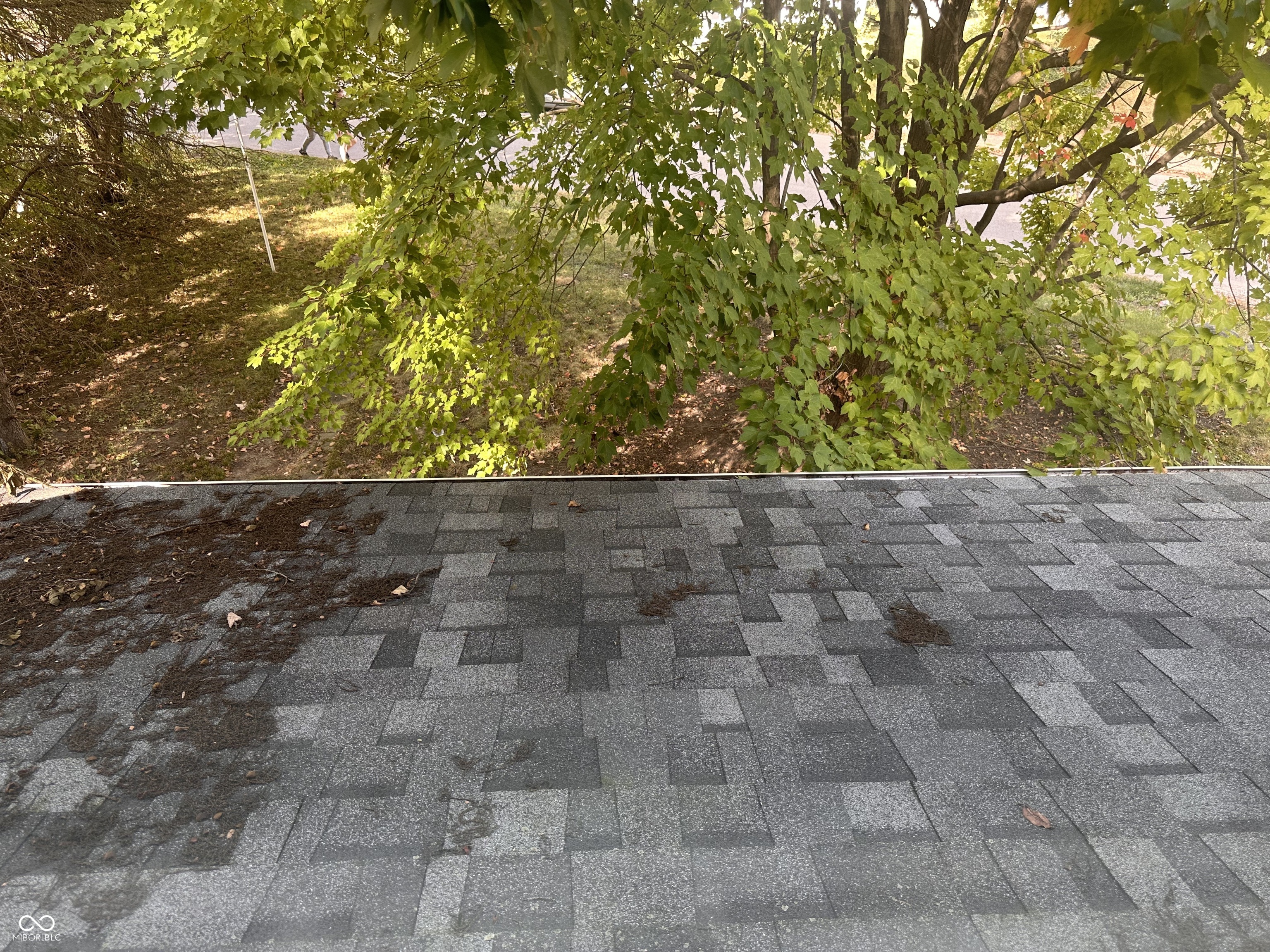 5959 Beechwood Avenue Indianapolis, IN 46219 - Photo 70 of 76