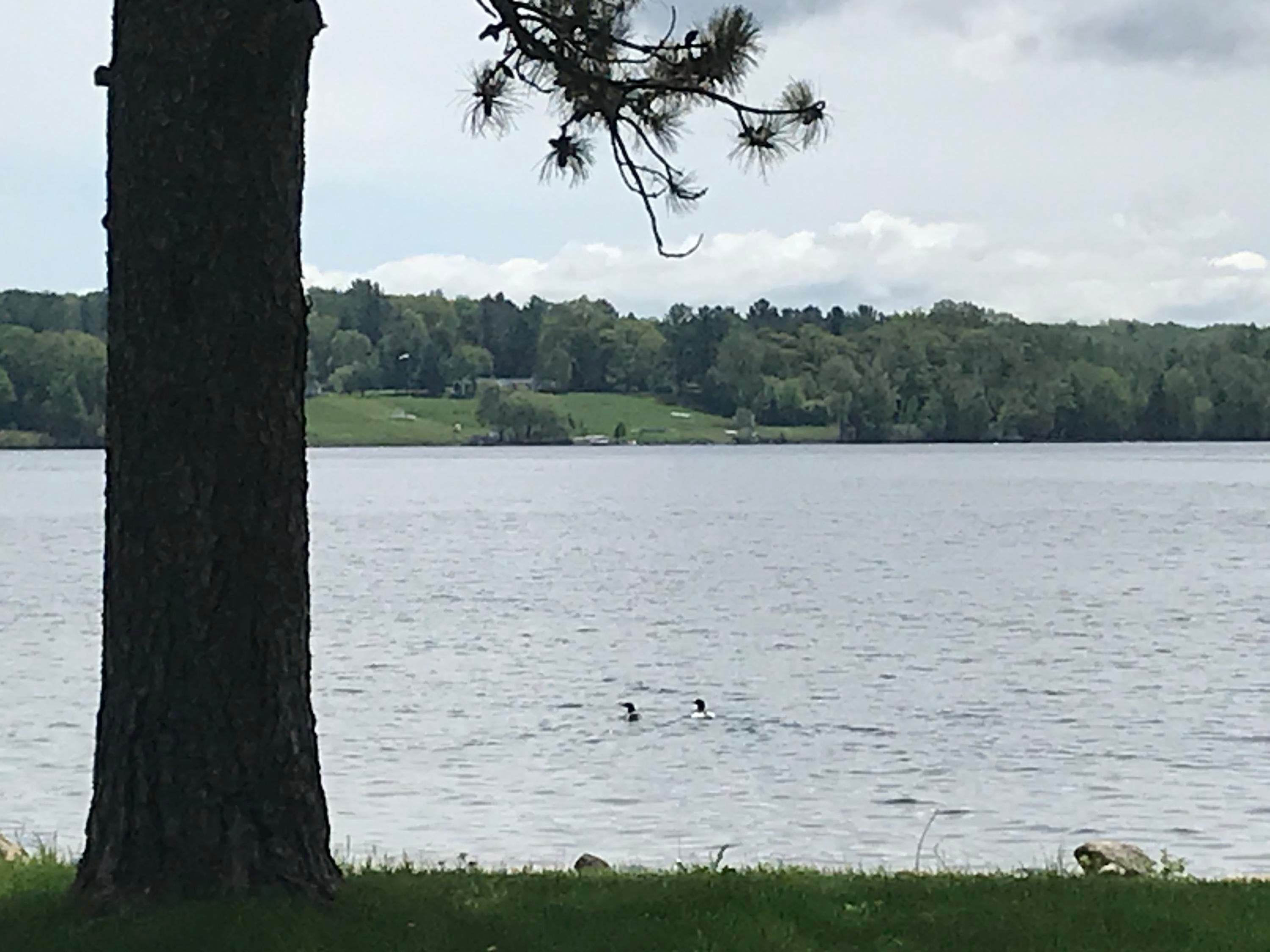 3593 Greenmans Point Road Cheboygan, MI 49721 - Photo 25 of 30 Gallery Image 25