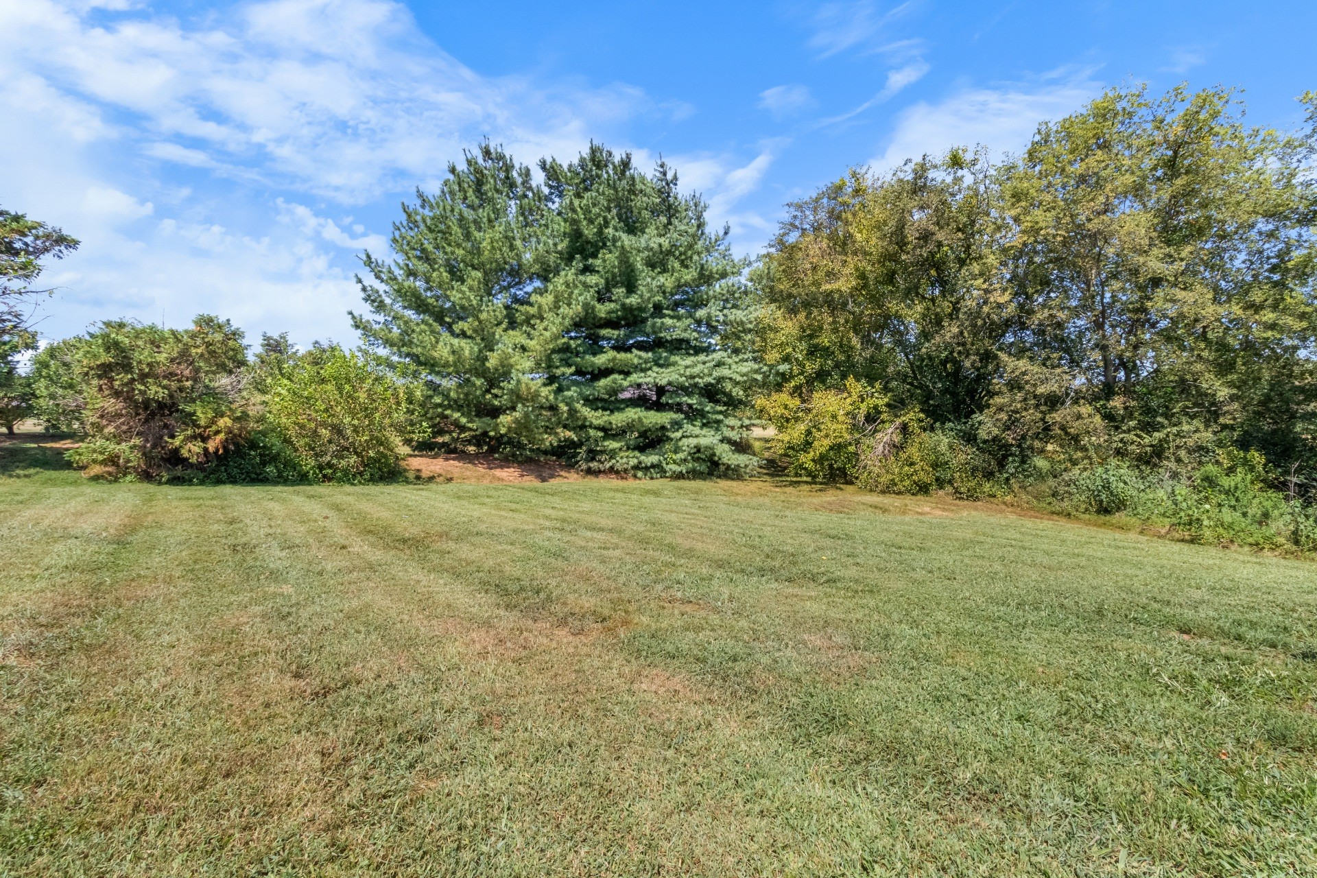 586 Foxfield Road Hopkinsville, KY 42240 - Photo 28 of 30 a view of yard with green space