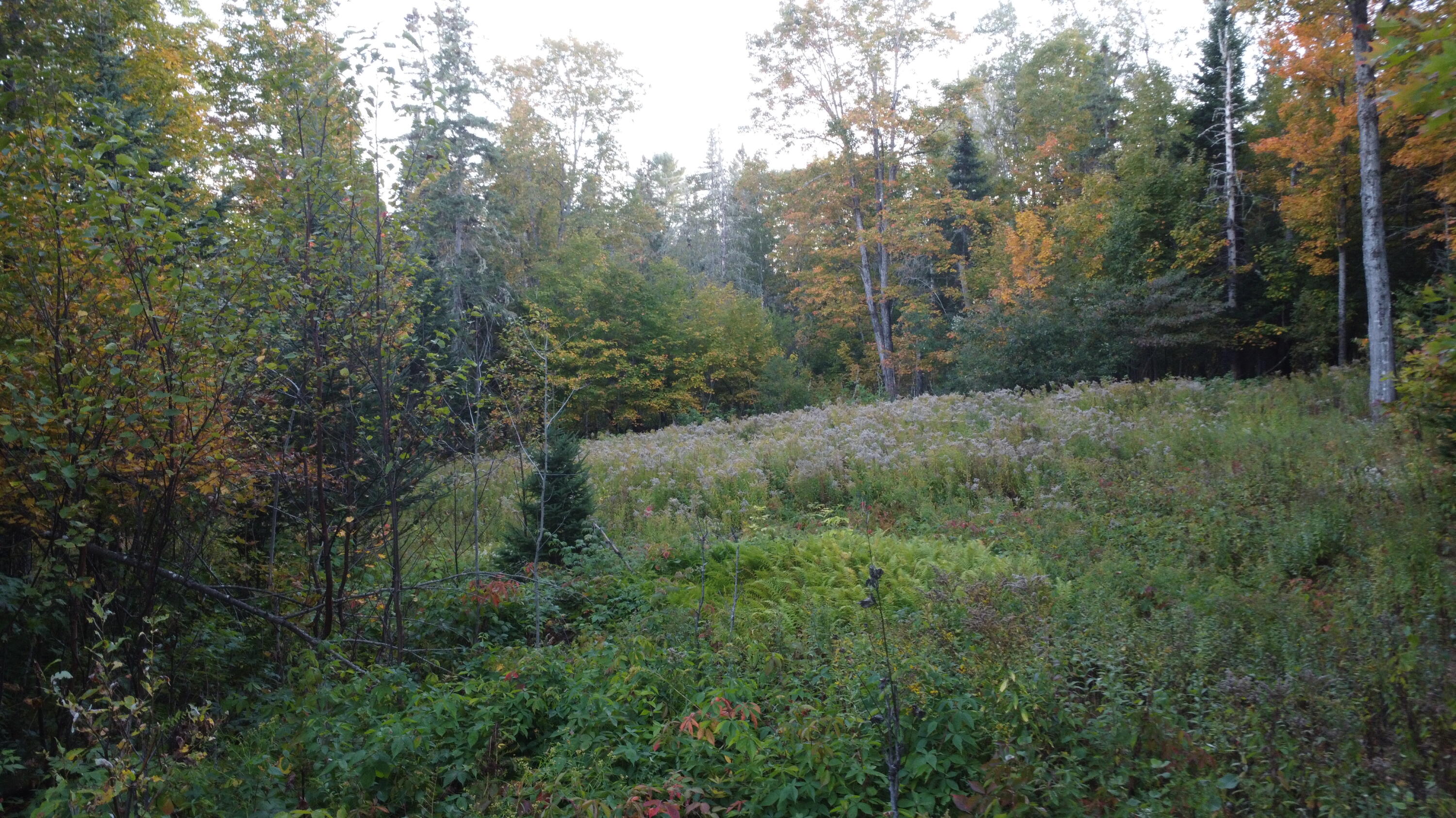 21 Quimby Farm Road Rangeley, ME 04970 - Photo 8 of 19 DJI_0014