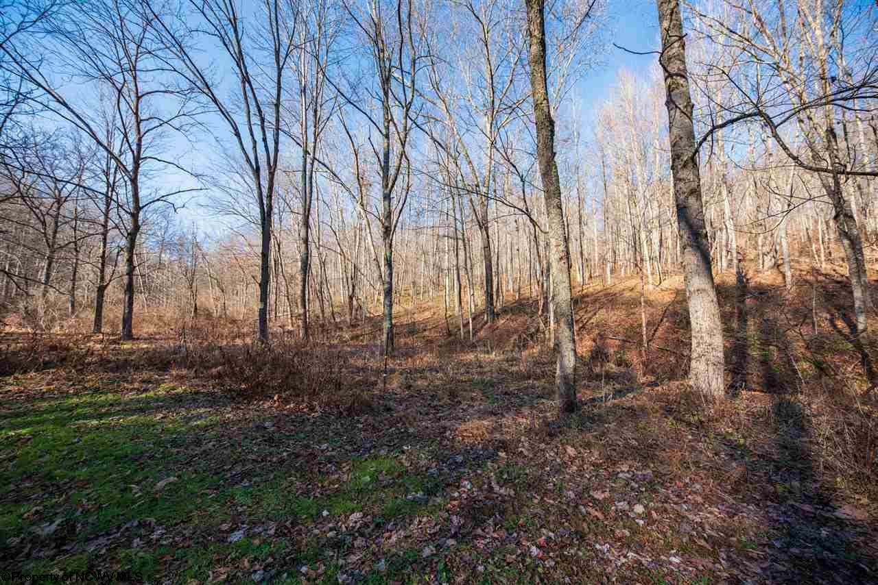 686 Salt Lick Road Mannington, WV 26582 - Photo 14 of 29 Gallery Image 14
