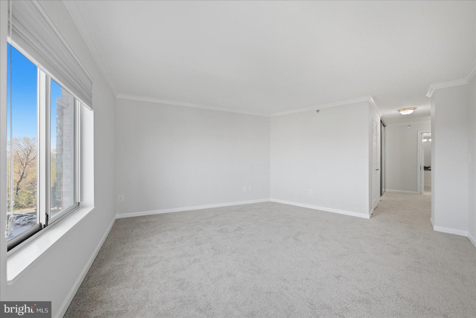 19385 Cypress Ridge Terrace, Unit 514 Leesburg, VA 20176 - Photo 34 of 81 Primary Bedroom with new carpet