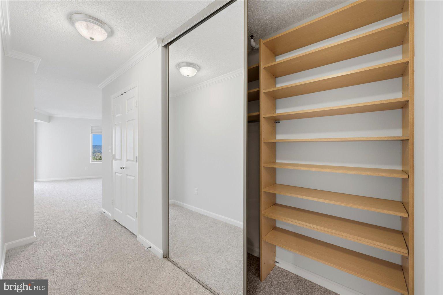 19385 Cypress Ridge Terrace, Unit 514 Leesburg, VA 20176 - Photo 39 of 81 Custom storage