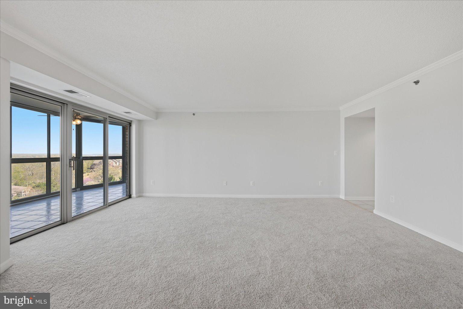 19385 Cypress Ridge Terrace, Unit 514 Leesburg, VA 20176 - Photo 10 of 81 Neutral paint and carpet colors throughout