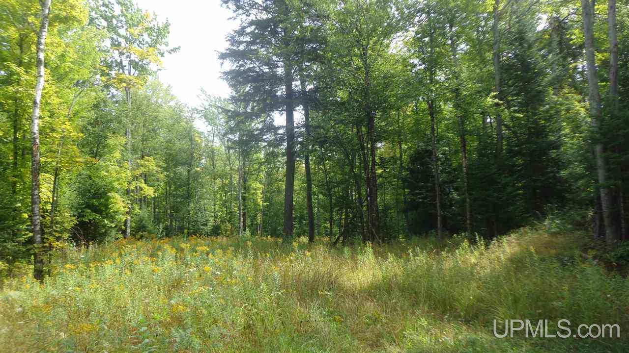 Tbd Strang Road Ontonagon, MI 49953 - Photo 2 of 3 Gallery Image 2