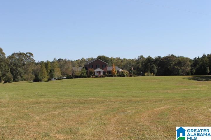 3258 Youngs Mill Road Lineville, AL 36266 - Photo 34 of 50