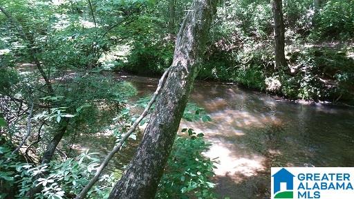East Mill Road Lineville, AL 36266 - Photo 8 of 13