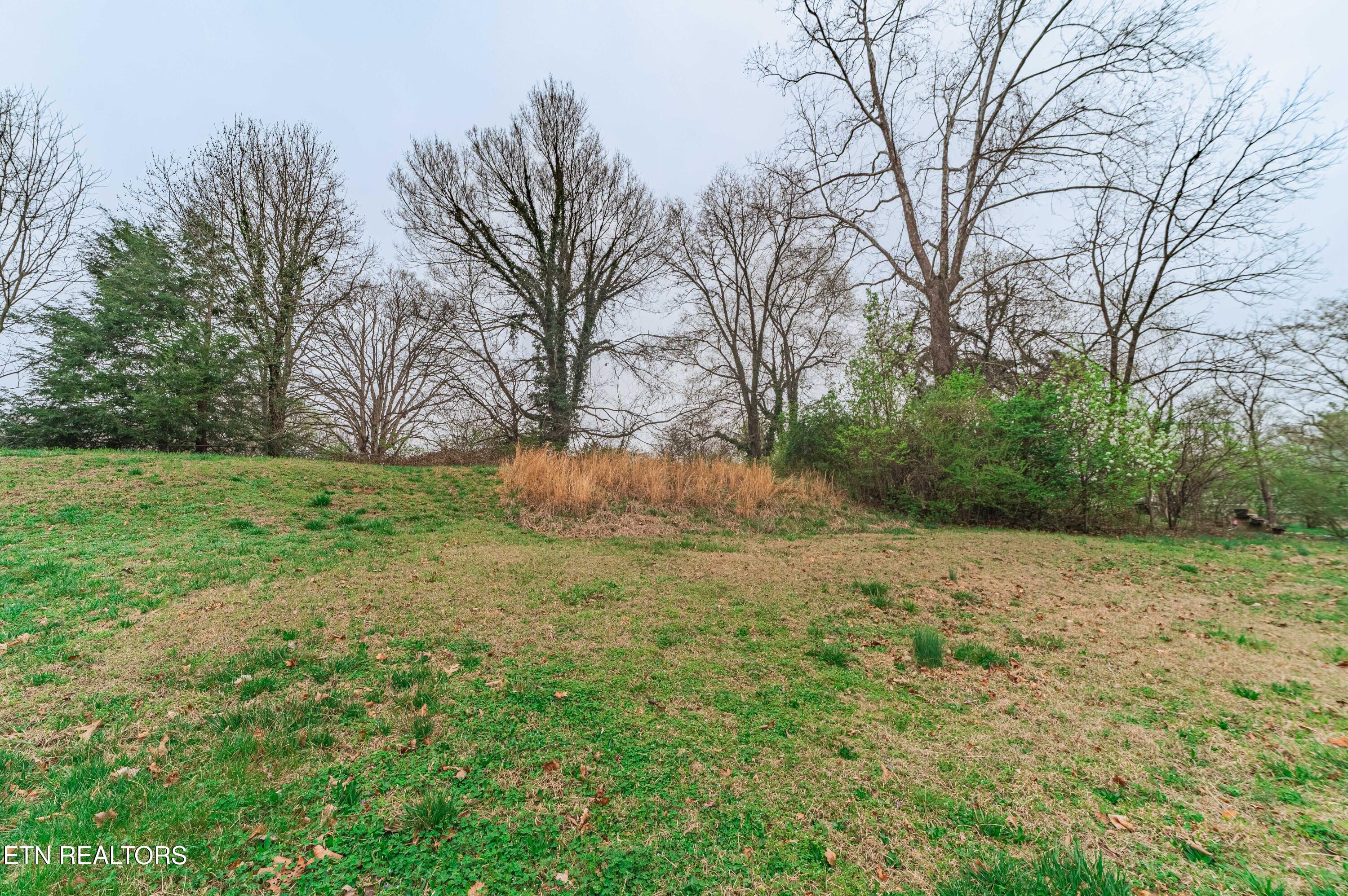 153 Johnson Road Oak Ridge, TN 37830 - Photo 27 of 27 Backyard