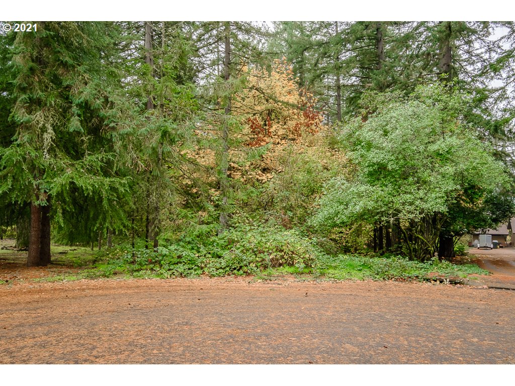 Bramblewood Albany, OR 97321 - Photo 2 of 32 Gallery Image 2