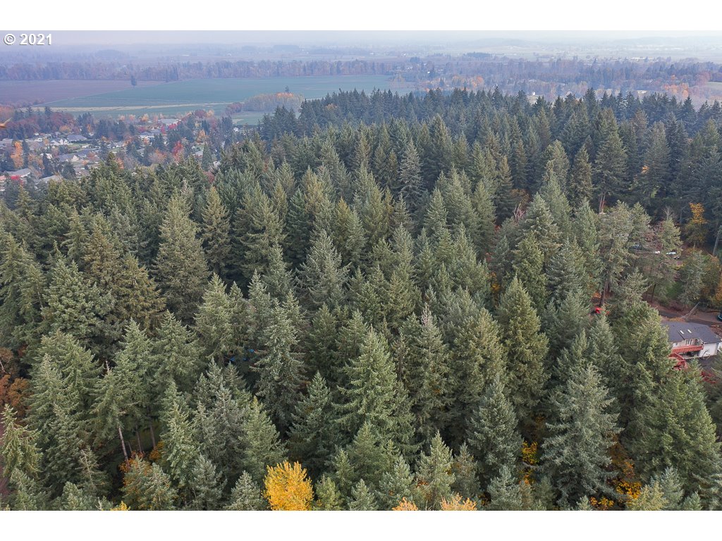 Bramblewood Albany, OR 97321 - Photo 17 of 32 Gallery Image 17