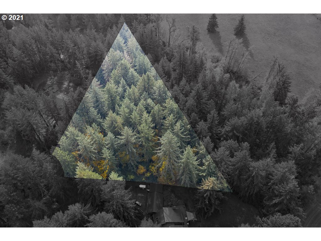 Bramblewood Albany, OR 97321 - Photo 6 of 32 Gallery Image 6