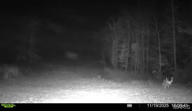 $265,000 | 0 Missouri 34 Glen, Marble Hill, MO 63764